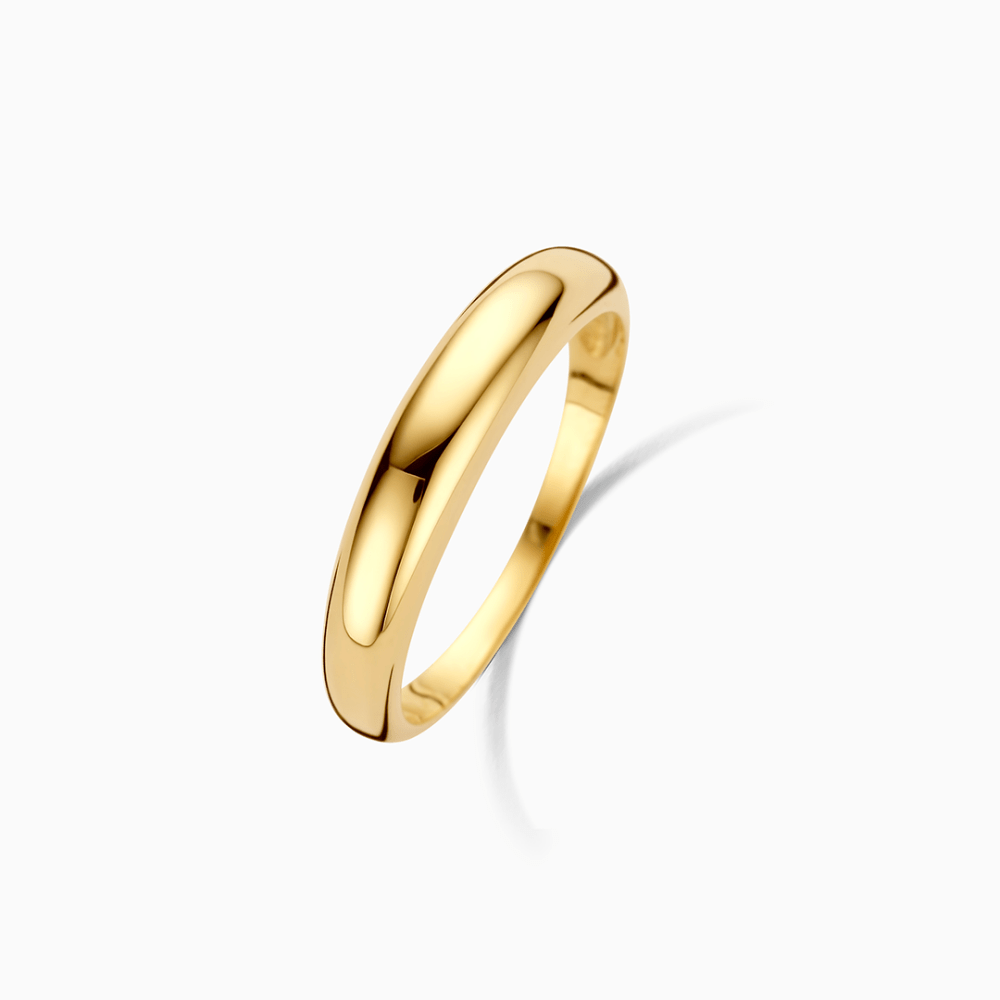 Raquienne | 18k Gold Midi Ring